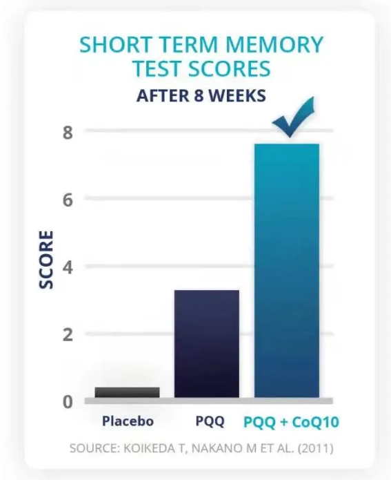  PQQ 支持“短期記憶”以及各種大腦功能